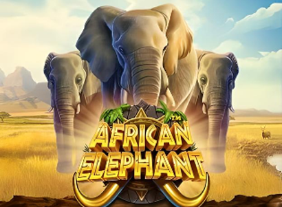 African Elephant African Elephant Logo