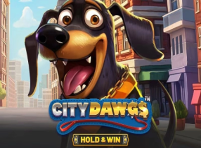 City Dawgs Hold and Win City Dawgs Hold and Win Logo