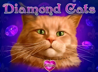 Diamond Cats Diamond Cats Logo