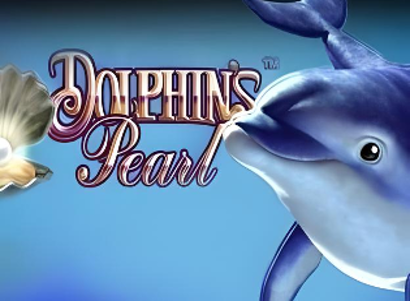 Dolphins Pearl Dolphins Pearl Logo