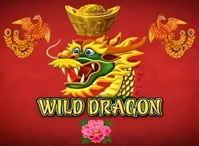Wild Dragon Wild Dragon Logo