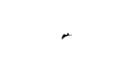Slot Bunny Casino Logo