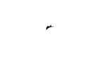 Slot Bunny Casino Logo