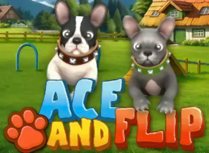 Ace and Flip Ace and Flip Logo