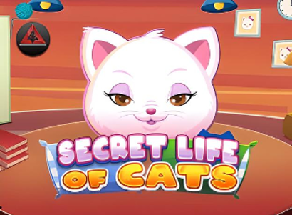 Secret Life of Cats