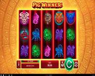 Dinkum pokies casino no deposit bonus codes