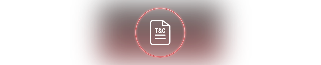 terms and conditions icon